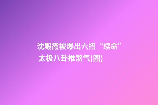 沈殿霞被爆出六招“续命” 太极八卦推煞气(图)